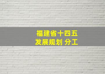 福建省十四五发展规划 分工